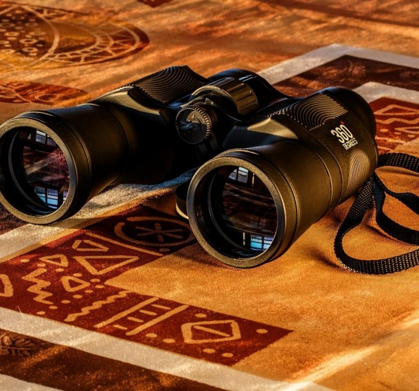 Get the Best Binocular to Get Perfect Magnification