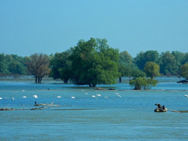  Danube Delta