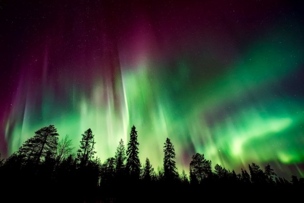 Want to See the Aurora Borealis? Find Out Where and When You Can See the Northern Lights