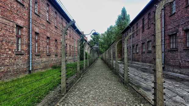 What Can We See Inside the Auschwitz Concentration Camp That Tells Us About Its Past?