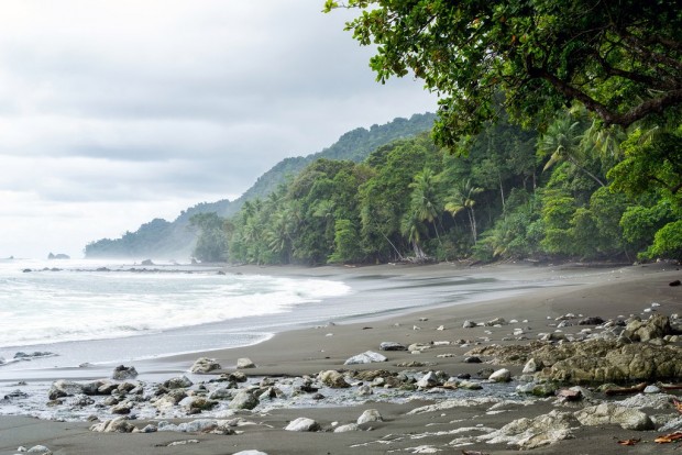 What to Expect on Your Adventure in Corcovado National Park in Costa Rica