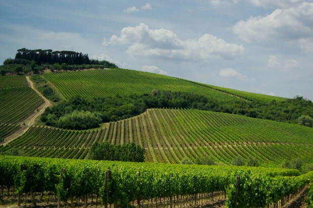 These are the 5 Tuscany Wine Tours That Will Take You Through Italy's Most Beautiful Vineyards