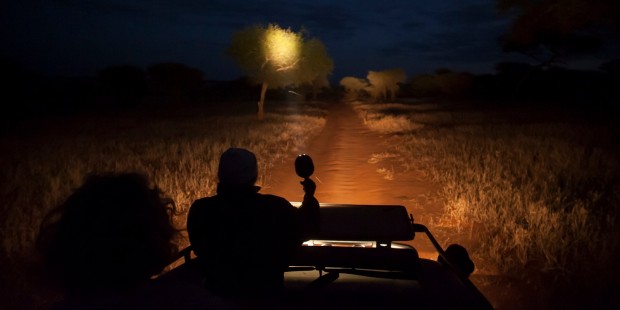 Night Game Drive in Kenya 