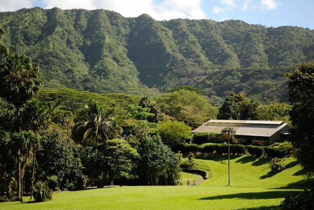 Top 5 Hawaii Destinations that Locals Love to Explore