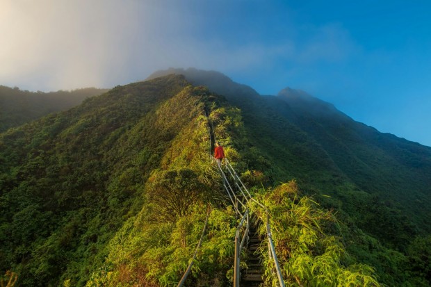 Historic Haiku Stairs in Oahu Face Demolition Over Public Safety