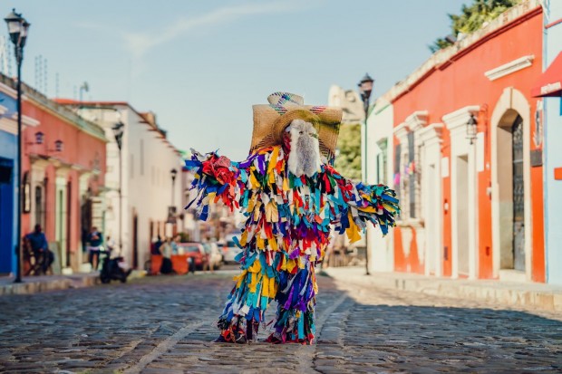 Essential Tips for Your Oaxaca Trip: What to Know Before You Go
