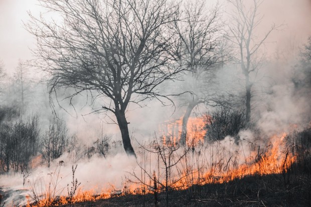 Essential Tips to Avoid Grass Fire Dangers on Your Next Outdoor Adventure
