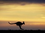 Explore The Australian Outback
