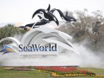 Killer Whale Kills Trainer Before Show At SeaWorld