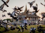 Cambodia Prepares To Honour King Sihanouk