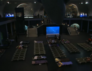 American Museum of Natural History hosts sleepover for grown-ups