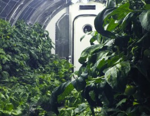 This Inflatable Greenhouse was Built for Mars