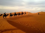 Top 3 Desert Safari Dubai Deals