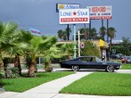 Classic Car And Palm Trees Ford Mustang Black Duster
