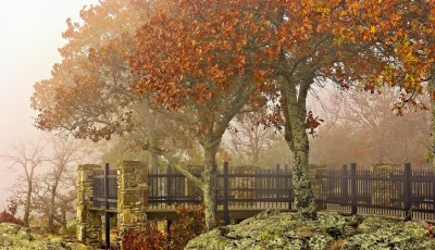 Autumn Petit Jean Fog Mist