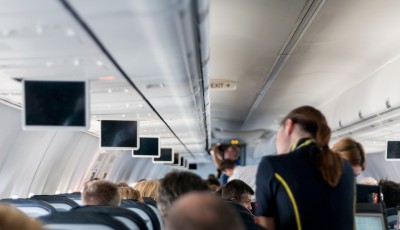 Aircraft Stewardess Mockup Sit Screens Vacations