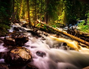 Colorado Stream Creek Water Landscape Forest