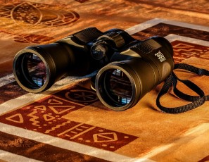 Get the Best Binocular to Get Perfect Magnification