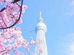 A neighborhood with various views of Tokyo Tower! Total guide to 