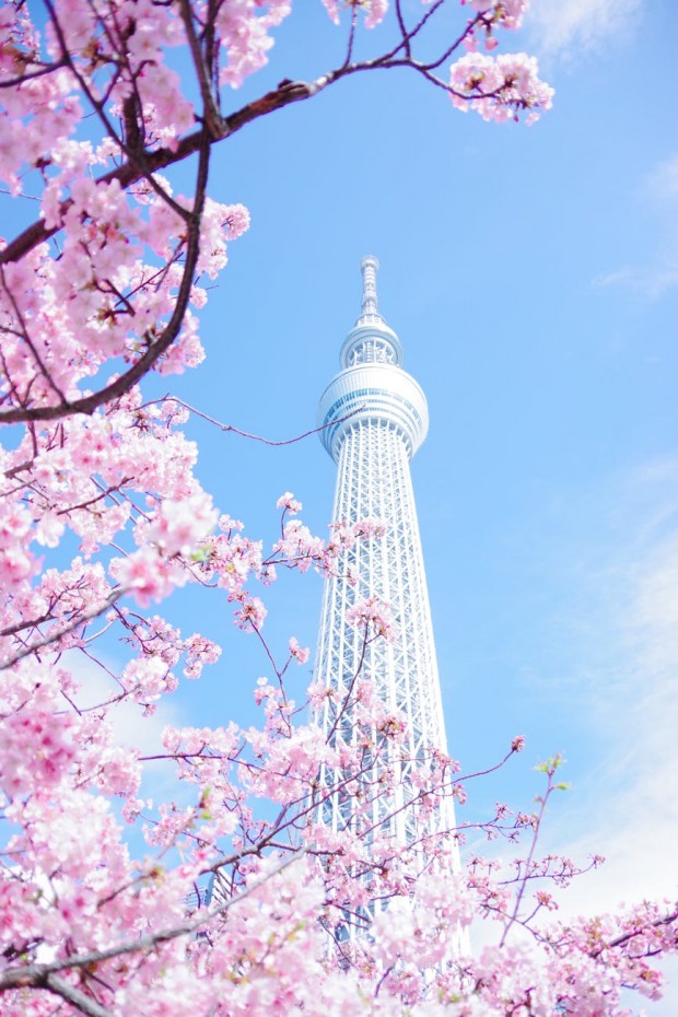A neighborhood with various views of Tokyo Tower! Total guide to "Daimon/Hamamatsucho”