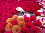 Explore the Lively Hues of Quang Phu Cau Incense Village in Hanoi
