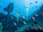 Antilla Shipwreck in Aruba 