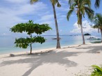 Philippines Wins Tourism Destination of the Year at Prestigious Golden Dragon Awards
