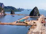 Ha Long Bay in Danger as Pollution, Over-Development Threaten Its Pristine Beauty