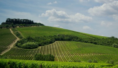 These are the 5 Tuscany Wine Tours That Will Take You Through Italy's Most Beautiful Vineyards