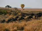 Hot Air Balloon in Masai Mara, Kenya