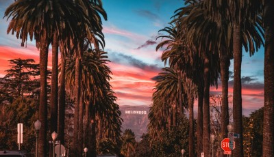 Everything You Need to Know When Visiting Los Angeles For the First Time
