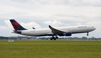 Delta Air Lines Flight Turns Back Due to Maggot Infestation from Passenger's Bag