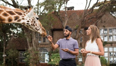 Why Giraffe Manor is Nairobi's Top Choice for Leisure and Luxury