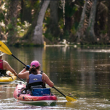 Here are the Most Exciting Things You Can Do at Silver Springs State Park in Florida