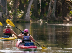 Here are the Most Exciting Things You Can Do at Silver Springs State Park in Florida