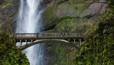 These are the Beautiful Oregon Waterfalls You Must Visit