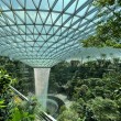 Here's Why Everyone Loves Singapore Changi Airport So Much!