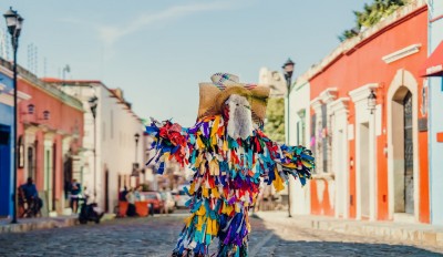Essential Tips for Your Oaxaca Trip: What to Know Before You Go