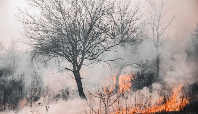 Essential Tips to Avoid Grass Fire Dangers on Your Next Outdoor Adventure
