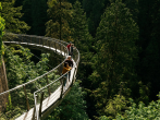 Find Out Why Everyone's Talking About Capilano Suspension Bridge Park